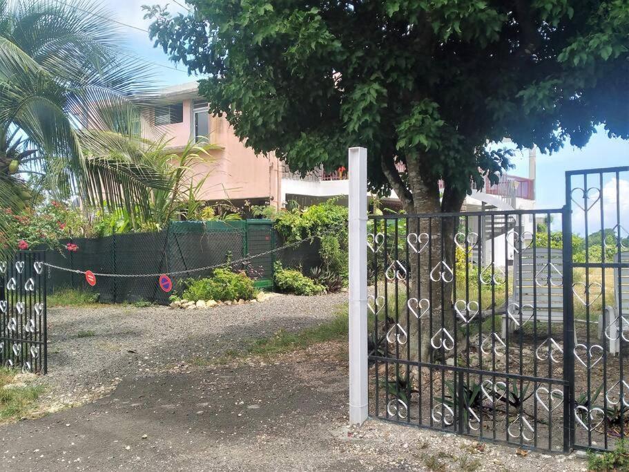 Jolie Studette Dans Un Environnement Arbore Les Abymes Εξωτερικό φωτογραφία